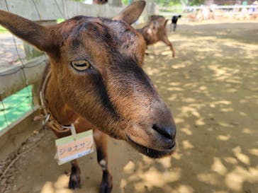 成田ゆめ牧場に投稿された画像（2021/7/22）