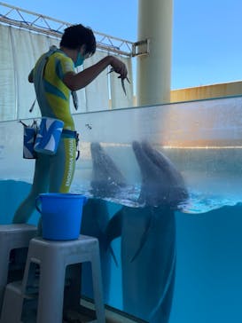 新江ノ島水族館に投稿された画像（2021/7/22）
