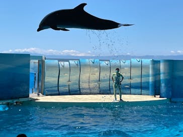 新江ノ島水族館に投稿された画像（2021/7/22）