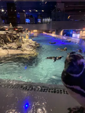 すみだ水族館に投稿された画像（2021/7/22）