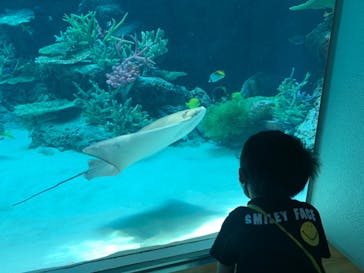 名古屋港水族館に投稿された画像（2021/7/22）