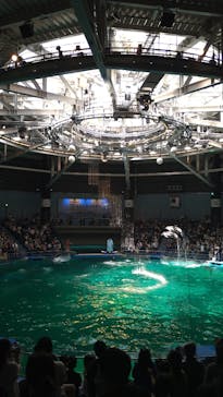 マクセル アクアパーク品川に投稿された画像（2021/7/22）