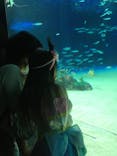 サンシャイン水族館に投稿された画像（2021/7/22）