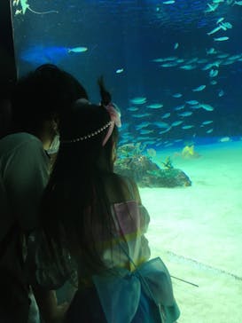 サンシャイン水族館に投稿された画像（2021/7/22）