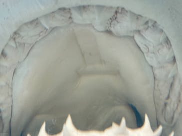 株式会社Gに投稿された画像（2021/7/22）