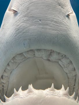 株式会社Gに投稿された画像（2021/7/22）