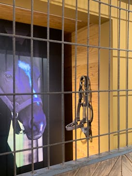 ノーザンホースパークに投稿された画像（2021/7/22）