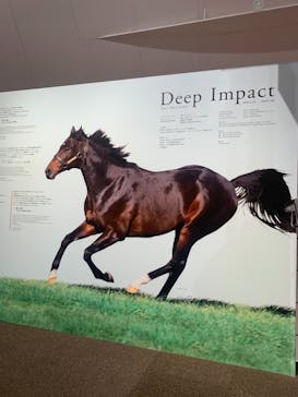 ノーザンホースパークに投稿された画像（2021/7/22）