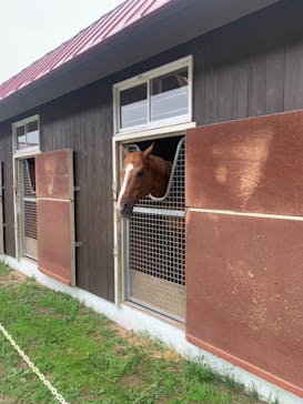 ノーザンホースパークに投稿された画像（2021/7/22）