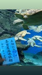 名古屋港水族館に投稿された画像（2021/7/22）