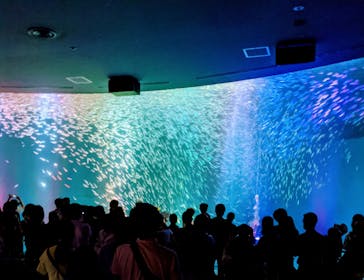 名古屋港水族館に投稿された画像（2021/7/22）