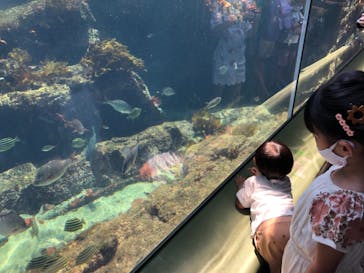 アクアワールド茨城県大洗水族館に投稿された画像（2021/7/22）