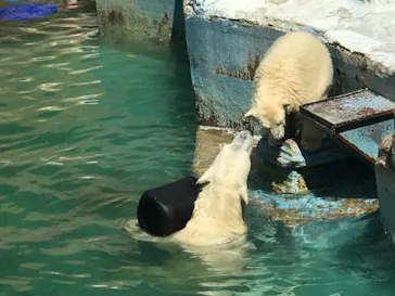 天王寺動物園に投稿された画像（2021/7/22）