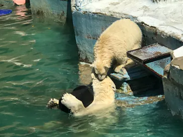 天王寺動物園に投稿された画像（2021/7/22）