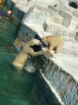 天王寺動物園に投稿された画像（2021/7/22）