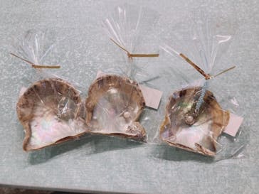 しながわ水族館に投稿された画像（2021/7/22）