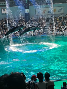 マクセル アクアパーク品川に投稿された画像（2021/7/22）