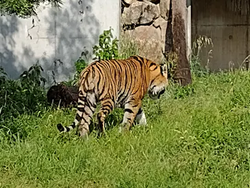 天王寺動物園に投稿された画像（2021/7/22）