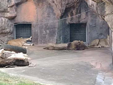 天王寺動物園に投稿された画像（2021/7/22）