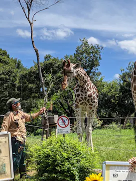 天王寺動物園に投稿された画像（2021/7/22）