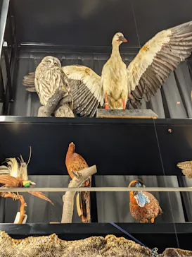 天王寺動物園に投稿された画像（2021/7/22）