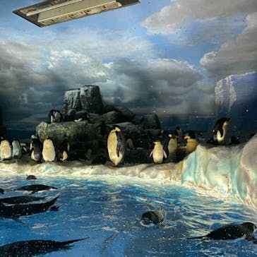 名古屋港水族館に投稿された画像（2021/7/22）