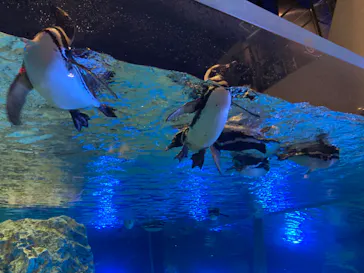 すみだ水族館に投稿された画像（2021/7/22）