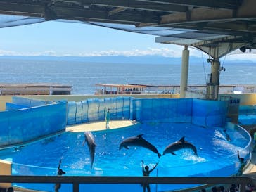 新江ノ島水族館に投稿された画像（2021/7/22）