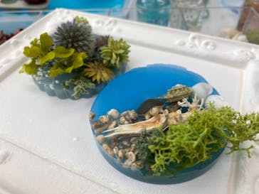 ずこうしつ〜sugamo〜に投稿された画像（2021/7/22）