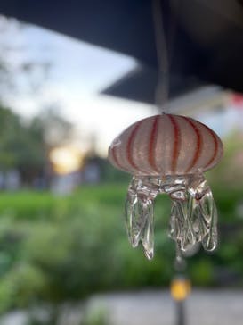 京都水族館に投稿された画像（2021/7/22）