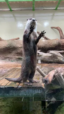 仙台うみの杜水族館に投稿された画像（2021/7/22）
