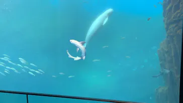仙台うみの杜水族館に投稿された画像（2021/7/22）