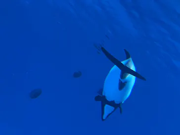 仙台うみの杜水族館に投稿された画像（2021/7/22）