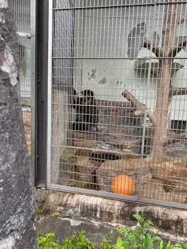 天王寺動物園に投稿された画像（2021/7/22）