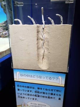 アクアワールド茨城県大洗水族館に投稿された画像（2021/7/22）