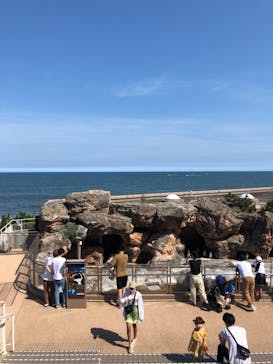アクアワールド茨城県大洗水族館に投稿された画像（2021/7/22）