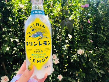 よみうりランド 遊園地に投稿された画像（2021/7/22）