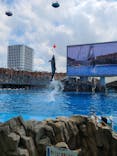 名古屋港水族館に投稿された画像（2021/7/22）