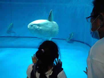 アクアワールド茨城県大洗水族館に投稿された画像（2021/7/22）