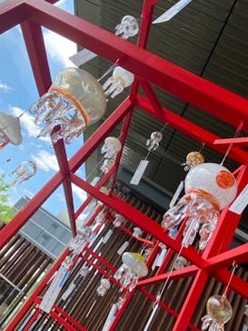 京都水族館に投稿された画像（2021/7/22）