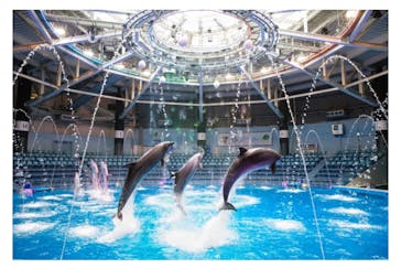 マクセル アクアパーク品川に投稿された画像（2021/7/22）