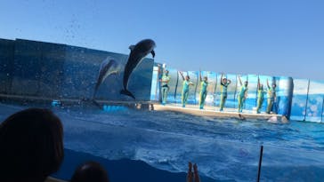新江ノ島水族館に投稿された画像（2021/7/22）