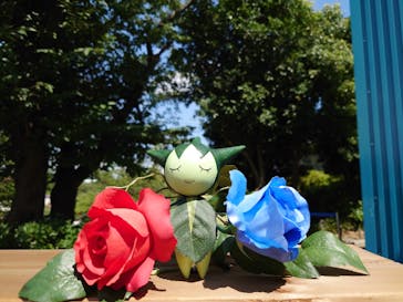 よみうりランド 遊園地に投稿された画像（2021/7/22）