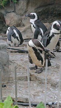 サンシャイン水族館に投稿された画像（2021/7/22）