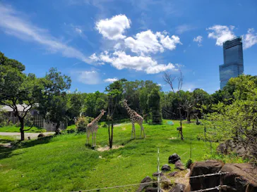 天王寺動物園に投稿された画像（2021/7/22）