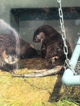 サンシャイン水族館に投稿された画像（2021/7/22）