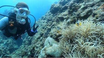 DIVING-SHOP SUNSに投稿された画像（2021/7/22）