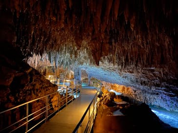 おきなわワールドに投稿された画像（2021/7/22）