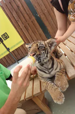 しろとり動物園に投稿された画像（2021/7/22）