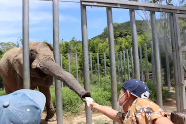 しろとり動物園に投稿された画像（2021/7/22）